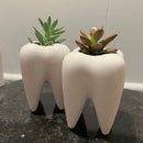 Ceramic Tooth Vase: Dental Planter, Dentist Gift
