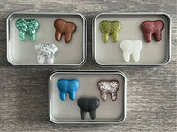 Dental Magnets Larger Tooth