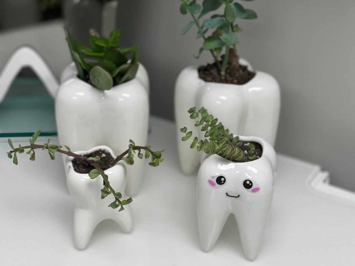 Molar Vases (Medium and Large)