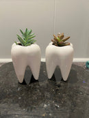 Ceramic Tooth Vase Planter: Dentist Gift, Dental Decor