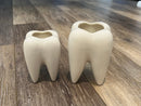Ceramic Tooth Vase Planter: Dentist Gift, Dental Decor