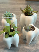 Ceramic Tooth Vase Planter: Dentist Gift, Dental Decor