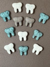 Tooth Magnet Trio