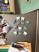 3 Teeth Magnet Set
