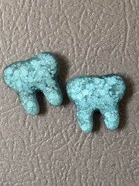Tooth Magnet Trio