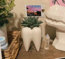 Ceramic Tooth Vase: Dental Planter, Dentist Gift