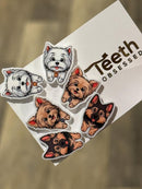 Various Dog Tooth Earrings