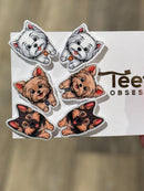 Various Dog Tooth Earrings