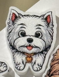 Various Dog Tooth Earrings