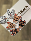 Various Dog Tooth Earrings