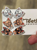 Various Dog Tooth Earrings