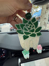 Dental Succulent Car Freshener & Vent Clip – Cute Tooth Air Freshie | Car Accessory Gift for Dental Assistants, Hygienists Students