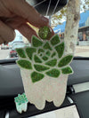 Dental Succulent Car Freshener & Vent Clip – Cute Tooth Air Freshie | Car Accessory Gift for Dental Assistants, Hygienists Students