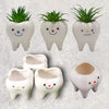 Smiling Dental Vase Tooth Vase Dental Desk Decor Tooth Planter Molar Tooth Succulent Planter Tooth Decor RDH Gift RDA Gift Dental